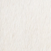 1-IVORY