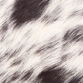 11-BLACK-SALT-&-PEPPER