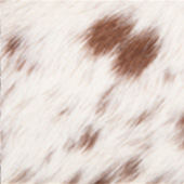 12-BROWN-SALT-&-PEPPER
