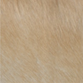 2-LIGHT-CARAMEL
