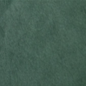 22-WASABI