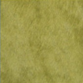 24-KIWI-