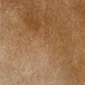 3-MEDIUM-CARAMEL