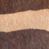 32-BROWN-ZEBRA