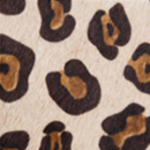 33-WHITE-LEOPARD