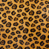 34-BROWN-LEOPARD