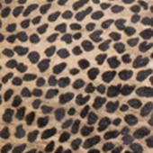 35-LIGHT-CHEETAH