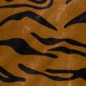 37-TIGER