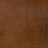 4-DARK-CARAMEL