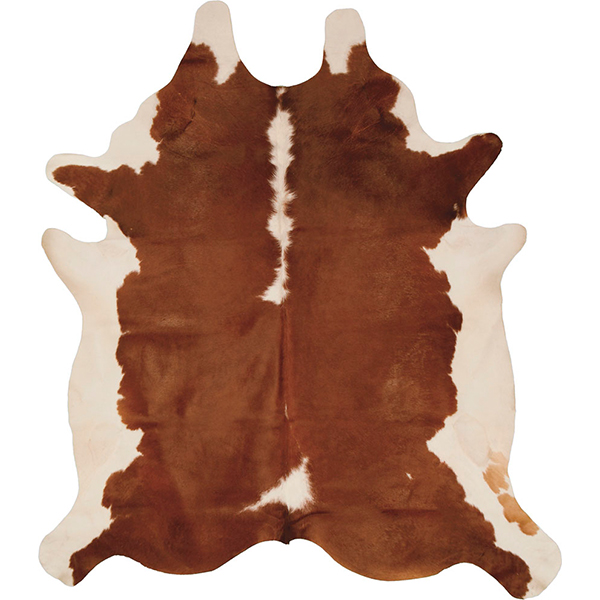 Brown & White Hereford