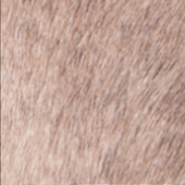 6-LIGHT-TORNASOL